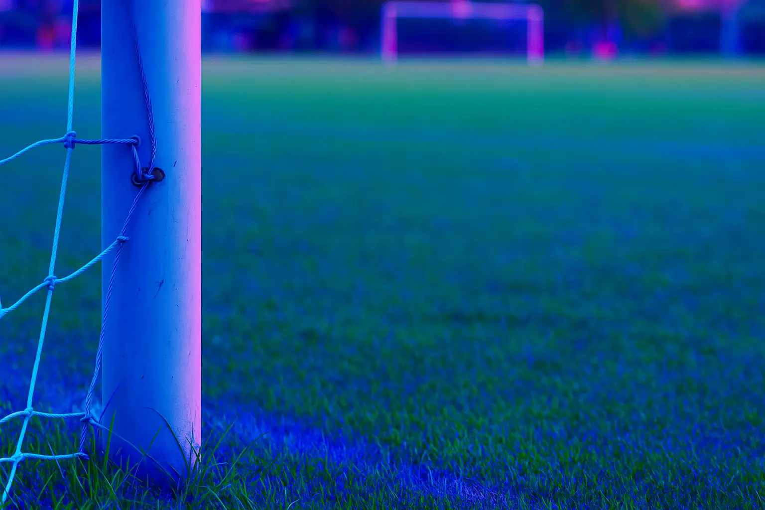 fantasycrickboard Intro background
